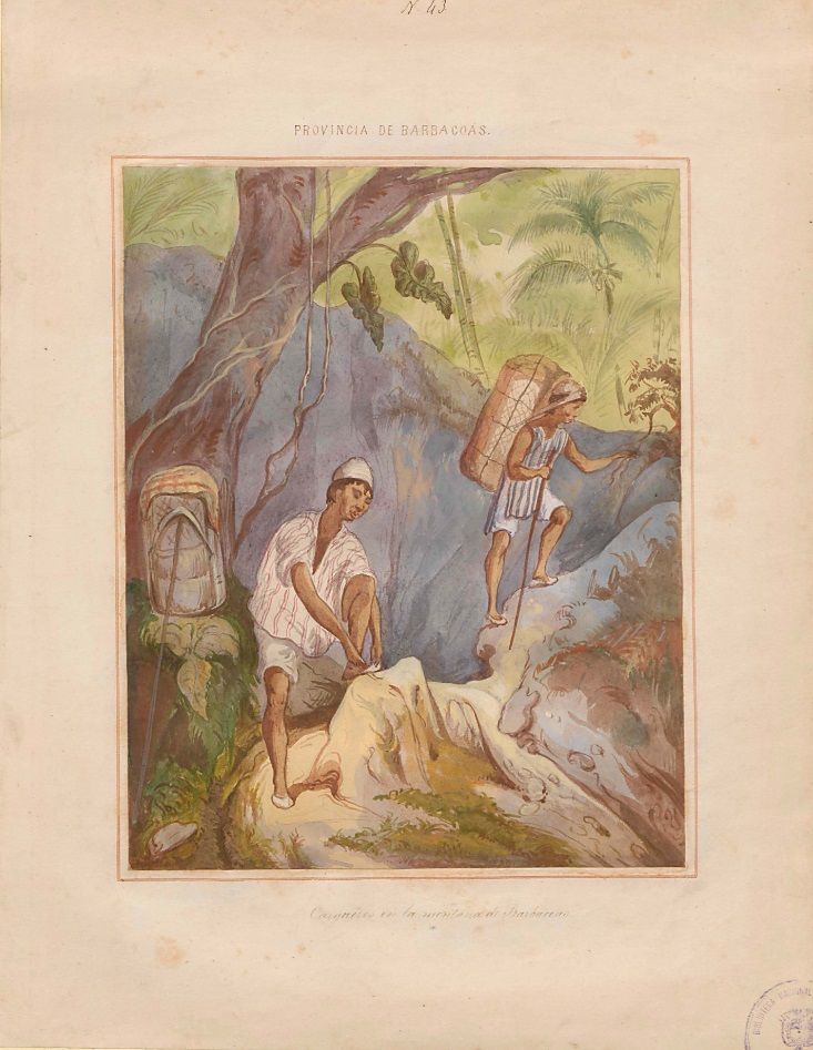 Lámina de la comisión corográfica de los cargueros en la montaña de Barbacoas, hecha por Manuel María Paz